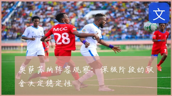 奥萨苏纳阵容观察:保级阶段的取舍决定稳定性